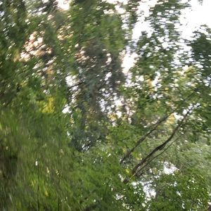 Meet your Posher, Nuke